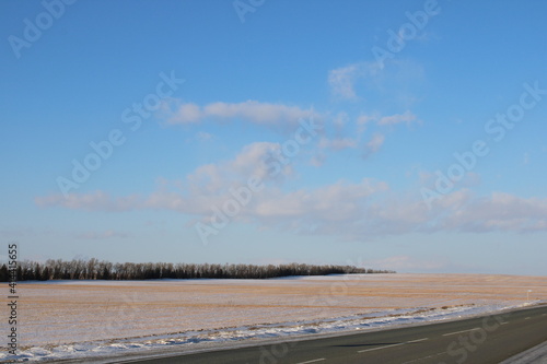 The sky in the forest  close to the taiga