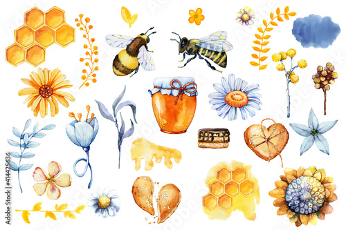 Honey set, bee and wasp, honeycomb, field herbs, flowers, jar, packaging for the product. Hand drawn watercolor illustration isolated on white background.