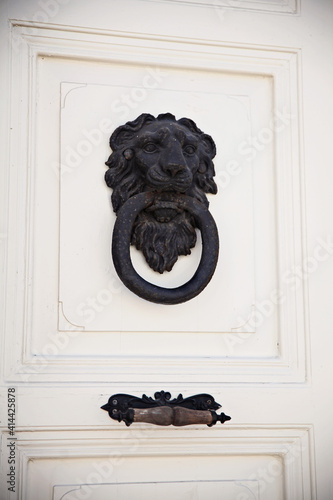 A black, lion  knocker on a white wall