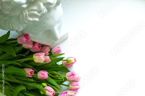 tulips of light pink color on a white background and the head of a plaster Apollo.bouquet for March 8 . space for text photo