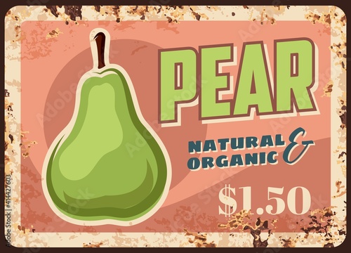 Organic pears harvest rusty metal plate. Ripe green pear hand drawn vector. Natural fruits farm orchard, organic food products market price tag, signboard or retro banner with rust texture frame