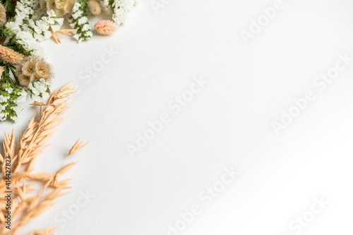 dried flowers and spikelets fluffy on a white background. copy space 