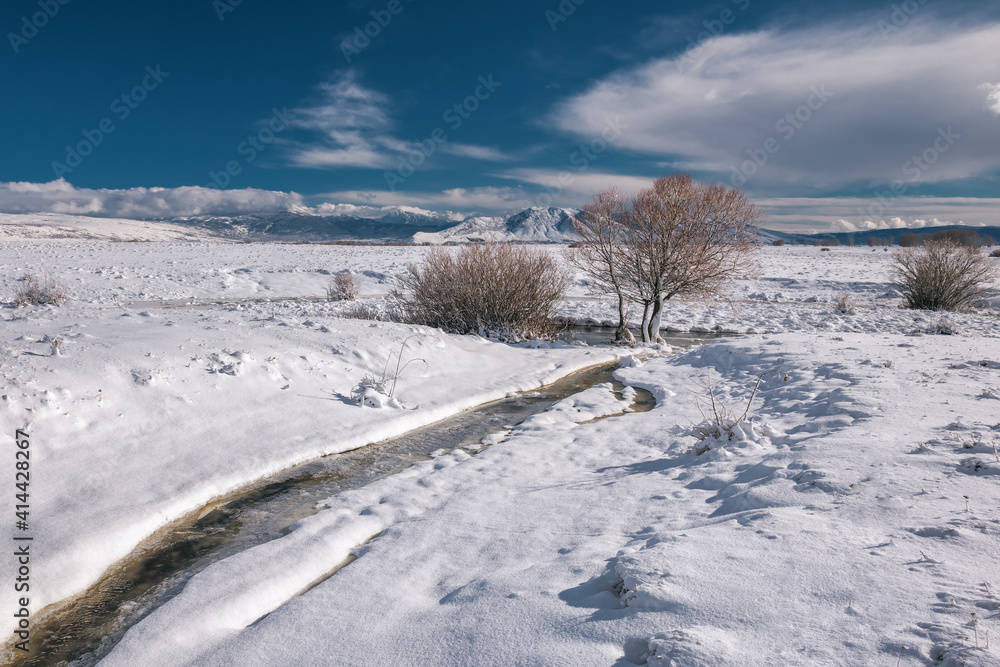 Obraz premium snowy landscape with river trees