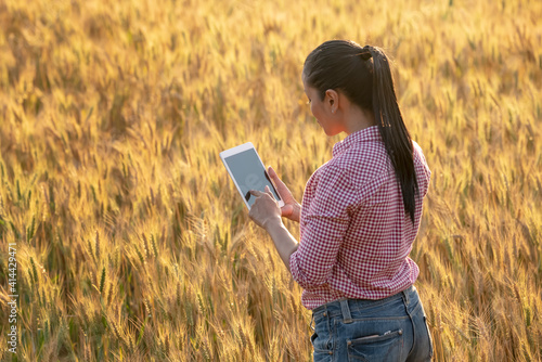 Happy Young Asian farmer or agronomist standing in Beauty Golden ripe wheat field in spring. Using digital tablet. © 15Studio