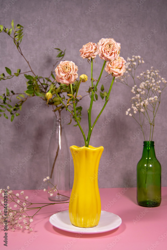 Obraz premium Dried rose in a yellow vase on a white saucer. Pistachio branch in a transparent bottle, gypsophila in a green bottle. Gypsophila lies below. Natural eco concept