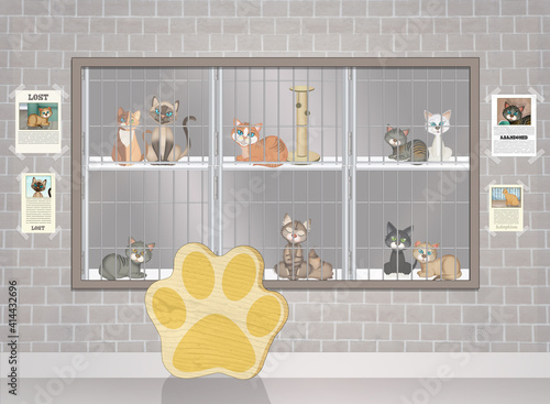 illustration of the cat shelter photo