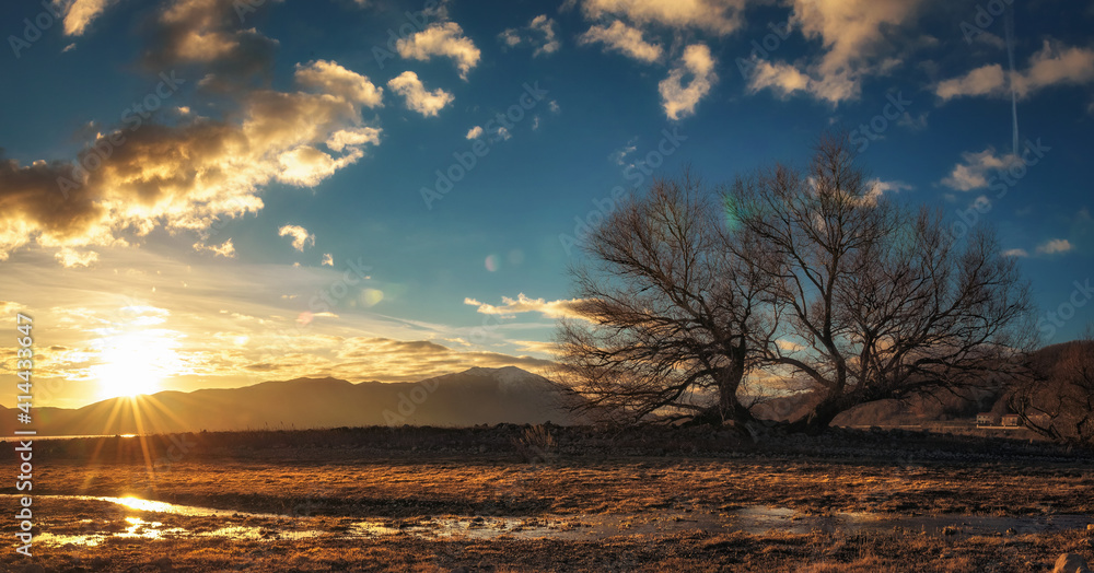 Fototapeta premium landscape with clouds and trees in the field
