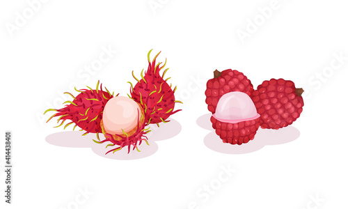 Ripe Exotic Fruits with Rambutan and Lychee Vector Set