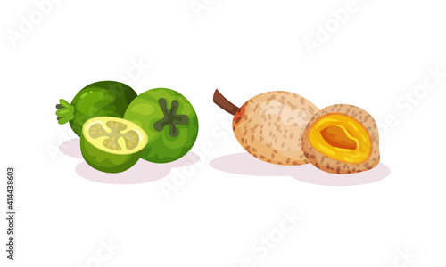 Ripe Exotic Fruits with Longan Showing Pulp Vector Set