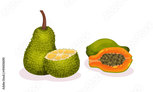 Ripe Exotic Fruits with Papaya and Jackfruit Vector Set