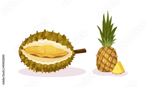 Ripe Exotic Fruits with Durian and Pineapple Vector Set