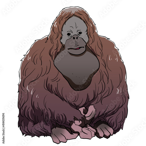 Realistic sitting orangutan illustration design photo