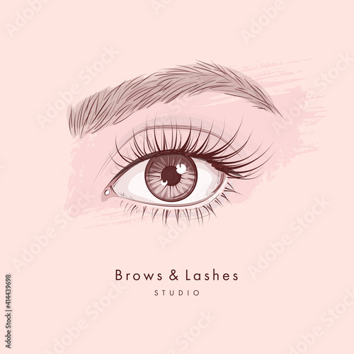 Hand drawn beautiful female eye with long black eyelashes and brows