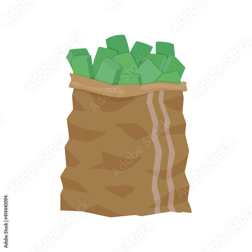 European currency note euro banknotes. Money vector illustration. Investment capital wealth savings or financial prosperity symbol. Bag with cash