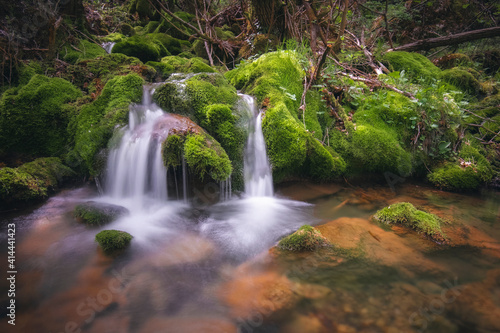 Fototapeta Naklejka Na Ścianę i Meble -  forest stream with waterfalls