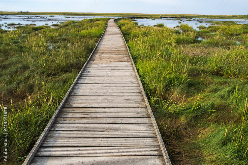 View along a wooden footbridge in Langwarder Groden / Germany in the late afternoon 