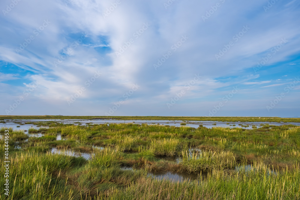 View of Langwarder Groden / Germany in the late afternoon with the onset of the tide