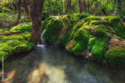 forest stream with waterfalls