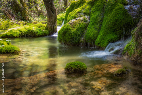 forest stream with waterfalls