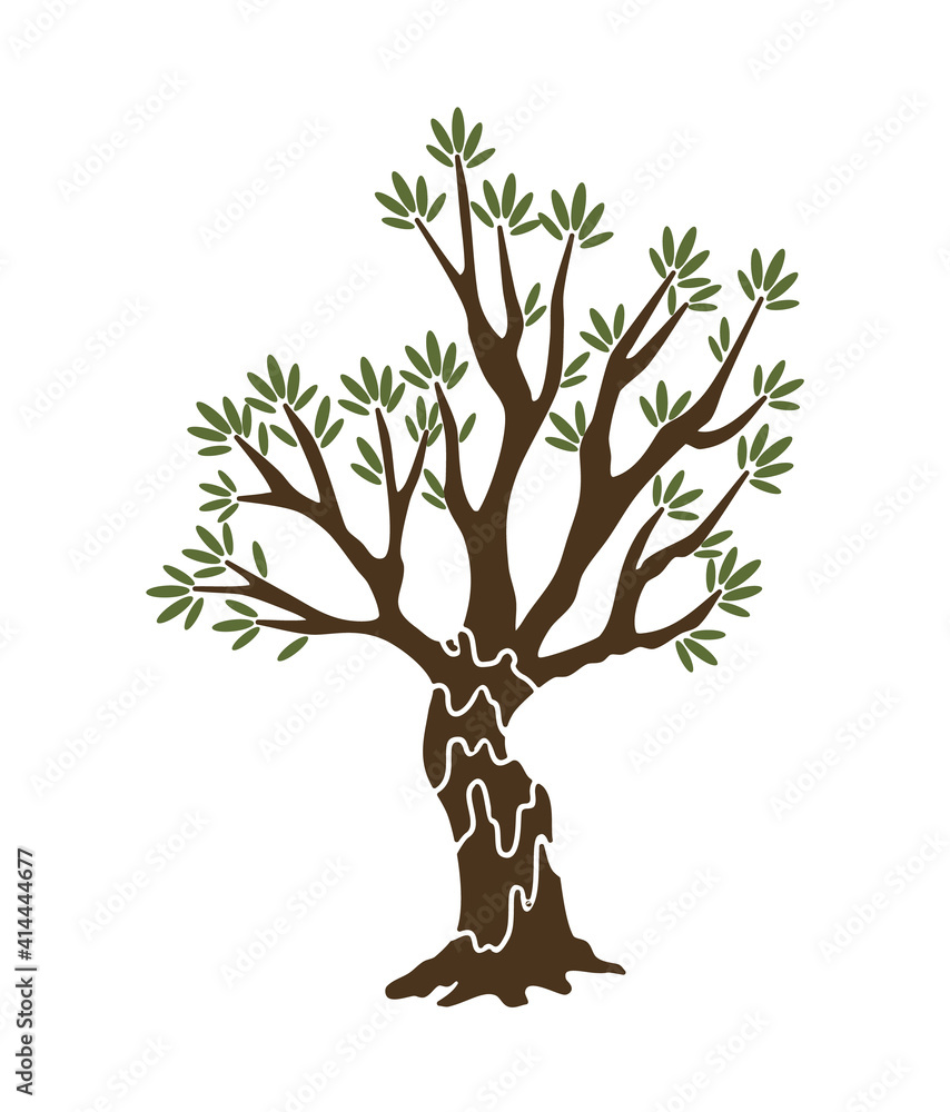Olive tree with branches and green leaves banner. Hand drawn ancient greek label, natural vegetarian shop sign. Premium quality design concept Olive tree with branches and green leaves banner. Hand drawn ancient greek label, natural vegetarian shop sign. Premium quality design concept