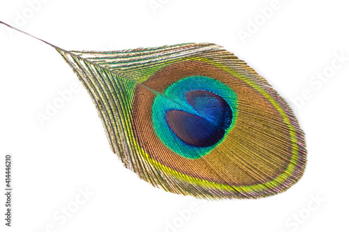 Fotografía peacock feather isolated on a white.