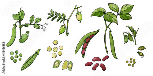 legumes set