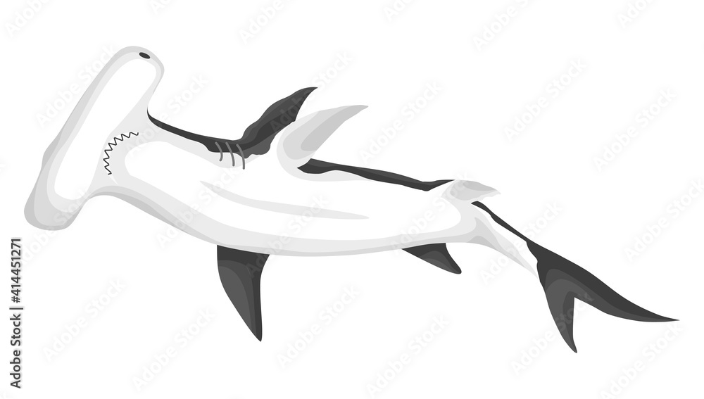 Obraz premium Hammerhead shark. Big dangerous marine predator. Underwater sea animal. illustration of Marine wildlife