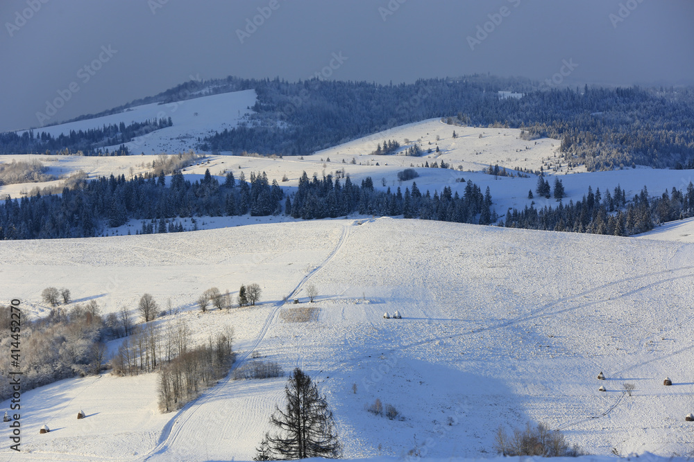 winter in Carpathians winter in Carpathians