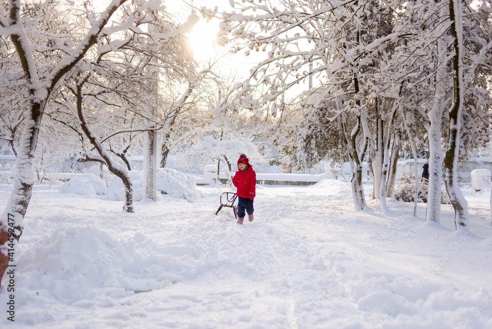 A little girl walks in a winter park and pulls a sled. Trees and road in the snow. The child walks alone.
