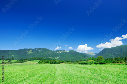 View of the green fields and blue sky © Trutta