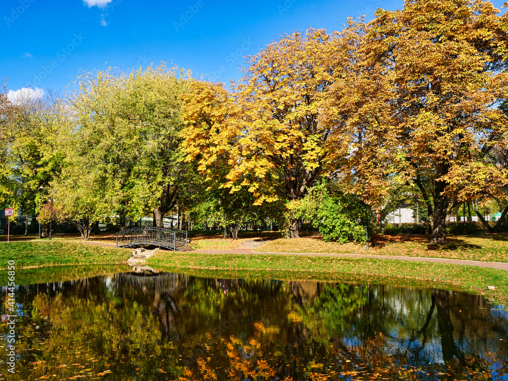 On the shore of the pond On the shore of the pond