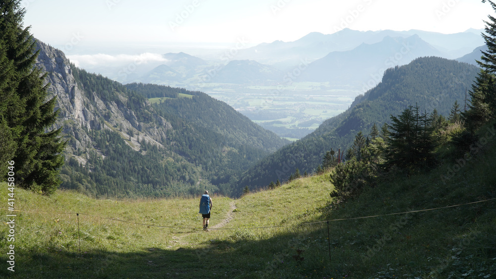 Green Mountain Landscapes at Wendelstein Peak in the Bavarian Alps near Flintsbach, Germany.