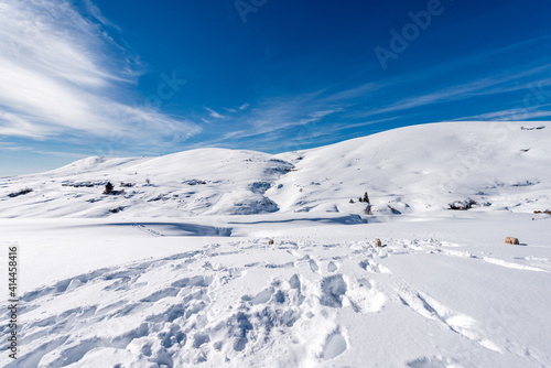 Altopiano della Lessinia. Landscape of the Lessinia Plateau in winter, Regional Natural Park, near Malga San Giorgio, ski resort in Verona province, Veneto, Italy, Europe.