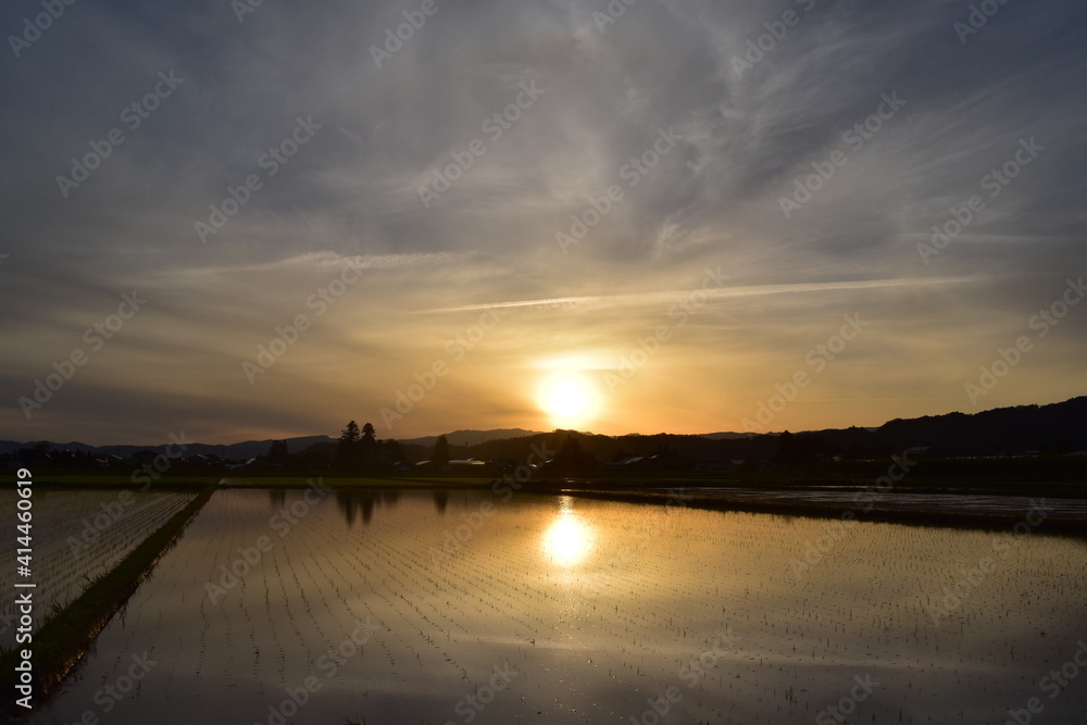 水の張った田んぼに反射する夕日の風景