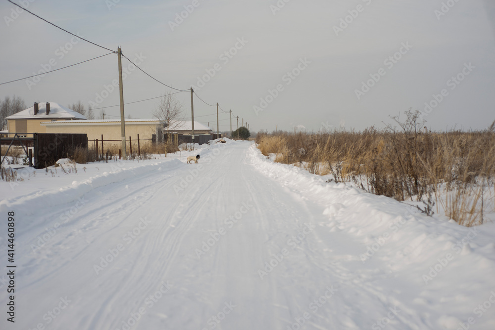 winter landscape in the village-road and dry grass, selective focus