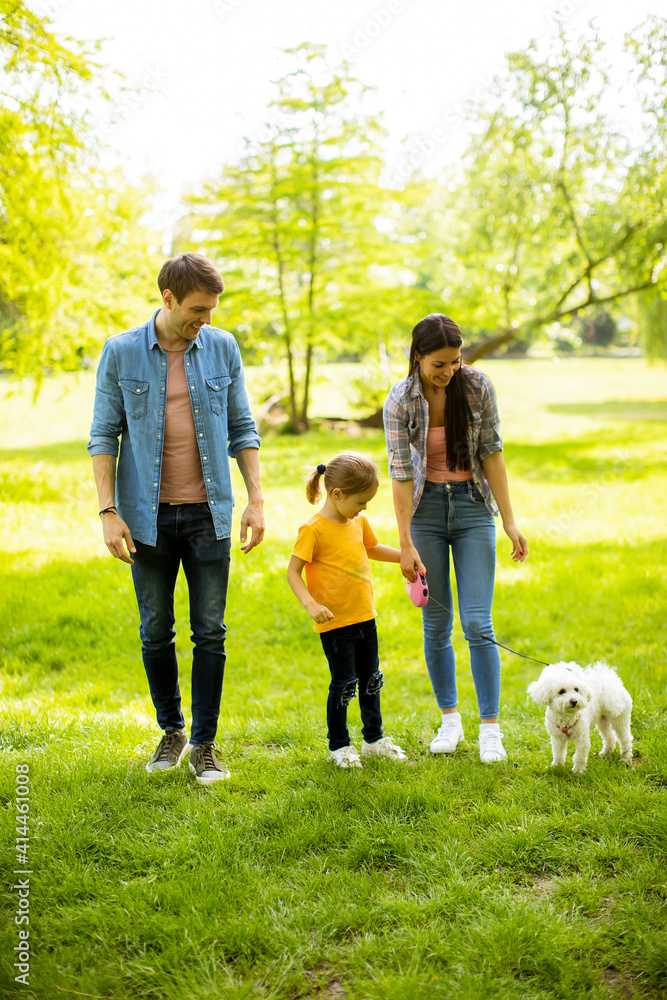 Obraz premium Happy family with cute bichon dog in the park