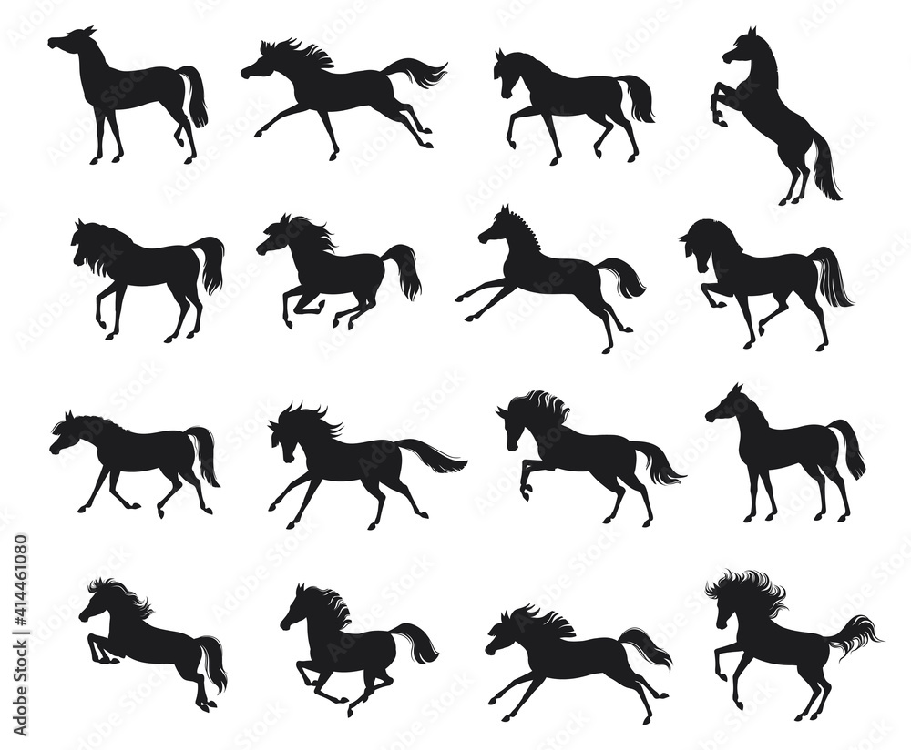 Fototapeta premium Set with horse silhouettes. Vector illustration. Horses for logos. Vector isolated illustration.