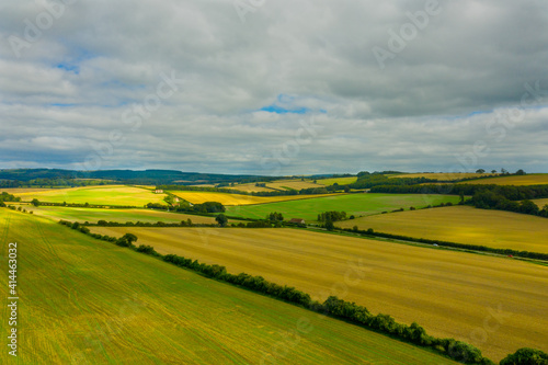 South Downs View