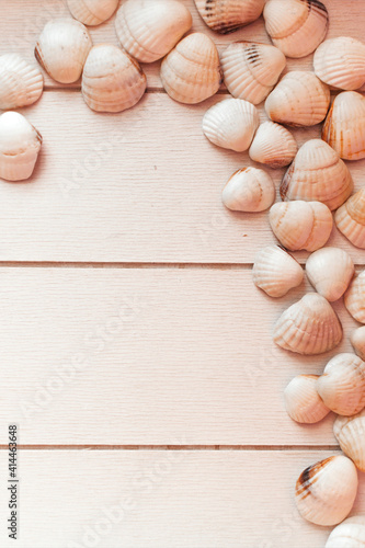 Seashells on a wooden board. Background