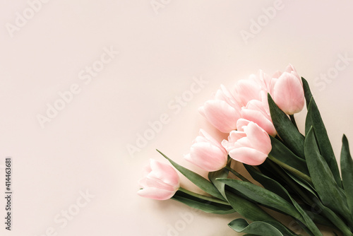 Fototapeta Naklejka Na Ścianę i Meble -  Bouquet of pink tulips on beige background with copy space.