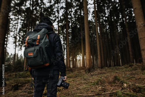 Wallpaper Mural Fotograf im Wald  Torontodigital.ca