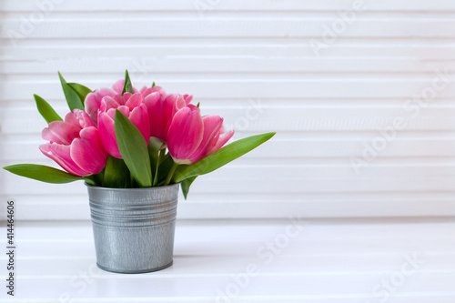 Purple-pink tulips in a tin bucket on a white background, spring-Easter card, top view, place for text