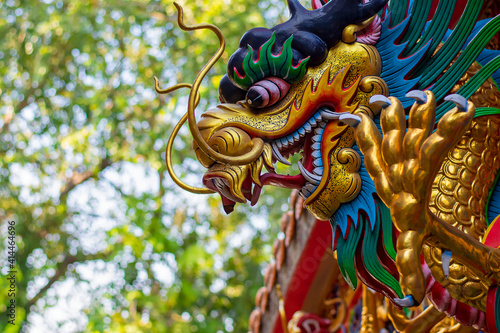 Chinese dragon head