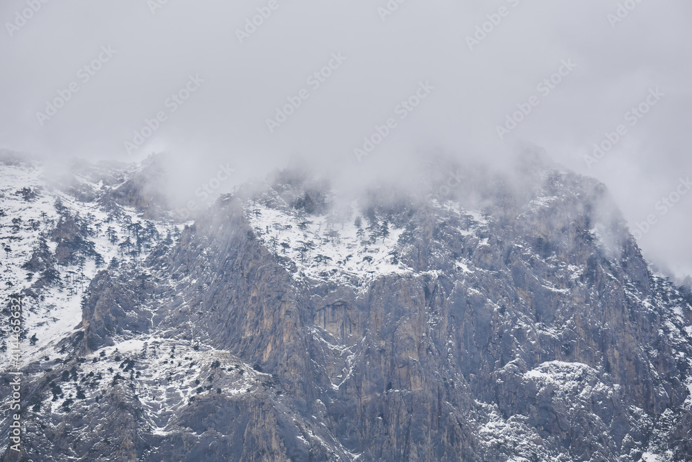 rugged mountain landscape - snow-capped rocky cliffs with rare trees hide in cloudy fog