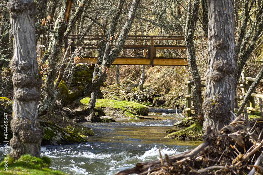 Bridge Bridge