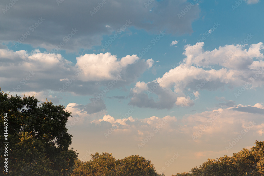 Fototapeta premium Beautiful couples, fields and landscapes of the Cordoba