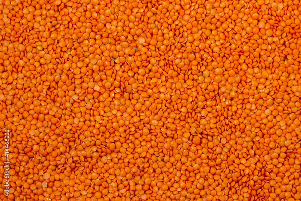 Red lentils in full screen. Lentil variety. Nutritious protein food.