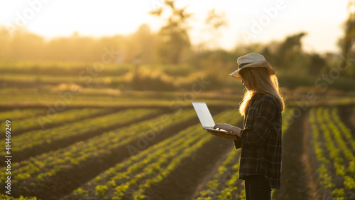 Female farmers using laptops to collect agricultural crops. 