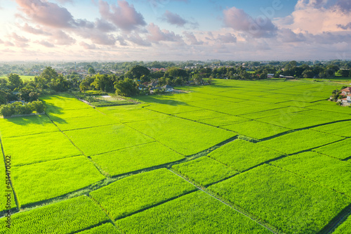 Land or landscape of green field in aerial view. Plot of land for agricultural farm, farmland or plantation with crop, rice. Also sale, investment. Rural area with nature at countryside in Chiang mai.