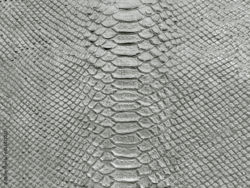 gray python skin pattern texture background gray python skin pattern texture background